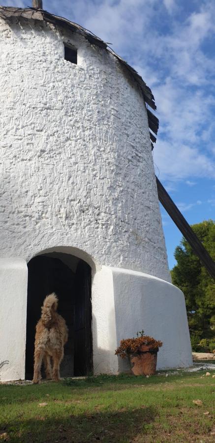 El Molino De Arriba * Nijar