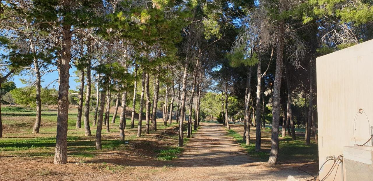Holiday home El Molino De Arriba *