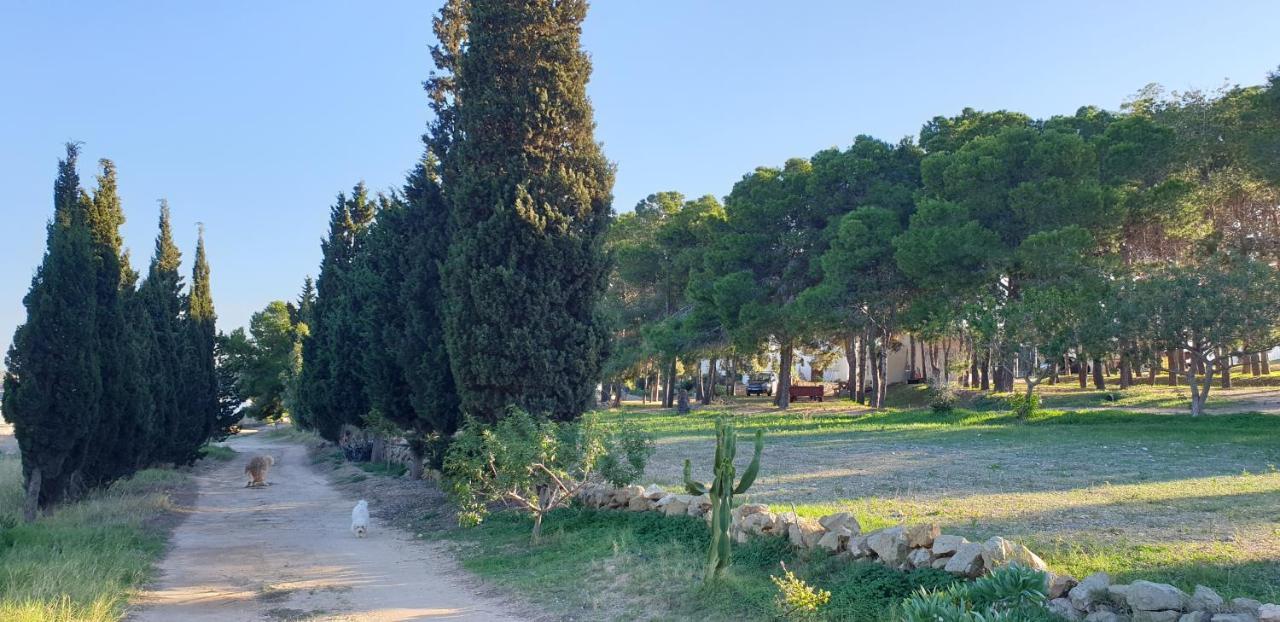 El Molino De Arriba