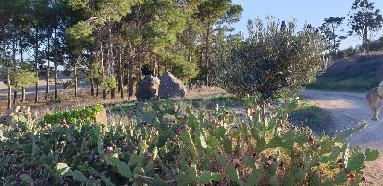 El Molino De Arriba