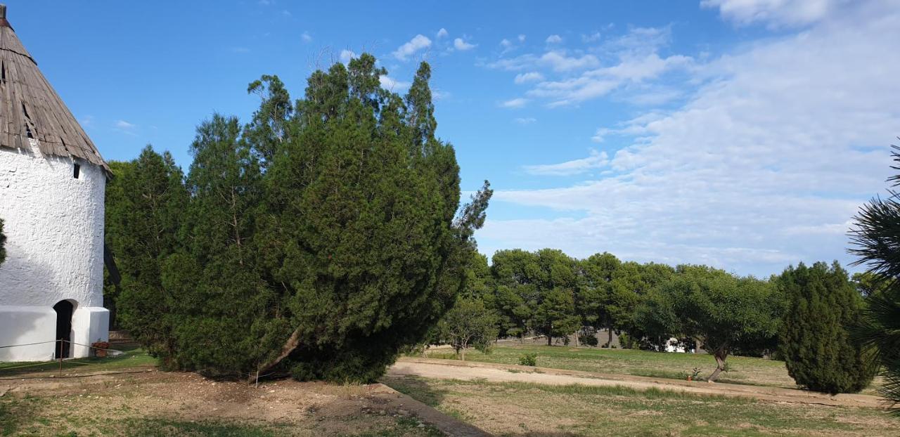El Molino De Arriba Holiday home *