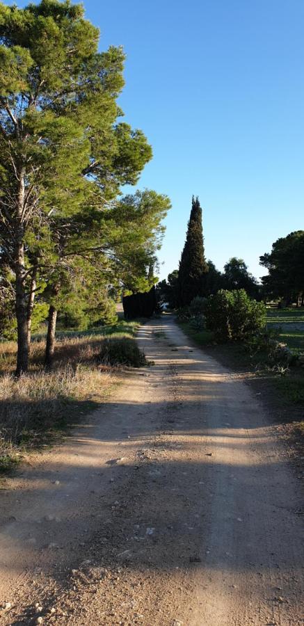 El Molino De Arriba Ferienhaus Níjar